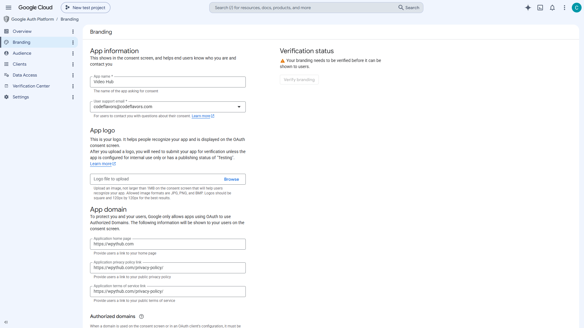 Google Auth Platform Branding consent screen with Video Hub app details