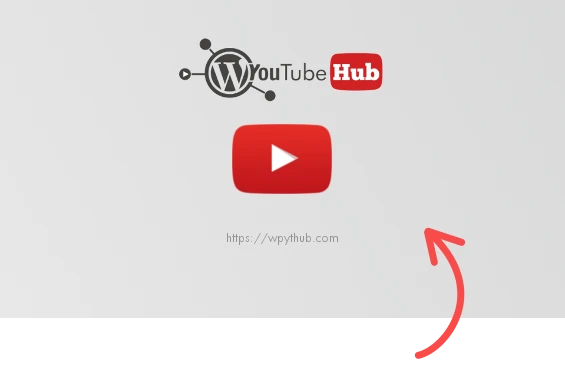 WPYTHub Video Presentation
